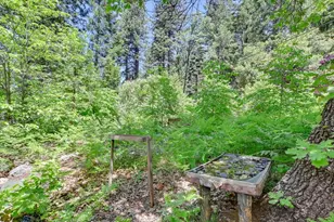 11306 Winding Way, Clipper Mills, CA 95930 - Photo 56