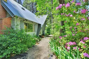 11306 Winding Way, Clipper Mills, CA 95930 - Photo 2