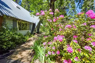 11306 Winding Way, Clipper Mills, CA 95930 - Photo 36