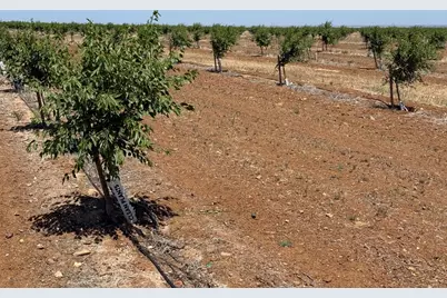 0 Little Panoche Road, Firebaugh, CA 93622 - Photo 4