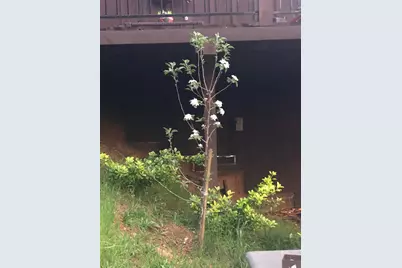 3500 Magpie Lane, Camino, CA 95709 - Photo 70