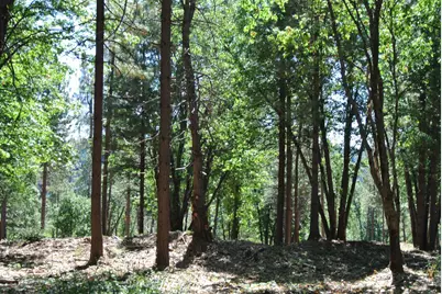 29 Ridge View Road, Foresthill, CA 95631 - Photo 22