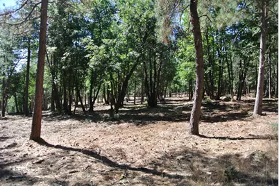 29 Ridge View Road, Foresthill, CA 95631 - Photo 12