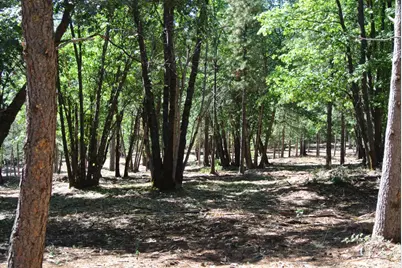 29 Ridge View Road, Foresthill, CA 95631 - Photo 14