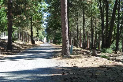 29 Ridge View Road, Foresthill, CA 95631 - Photo 10