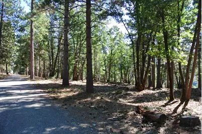 29 Ridge View Road, Foresthill, CA 95631 - Photo 6