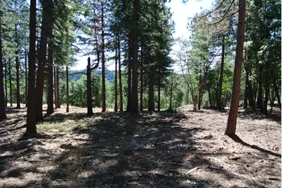 29 Ridge View Road, Foresthill, CA 95631 - Photo 1