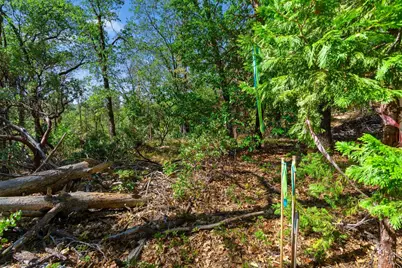 20866 Kuntz Court, Nevada City, CA 95959 - Photo 26
