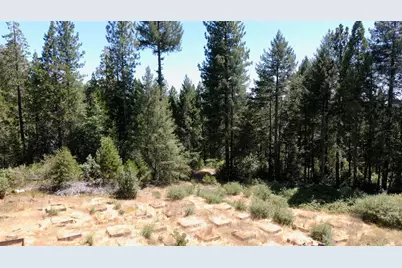 3772 Tin Ranch Road, Georgetown, CA 95634 - Photo 10