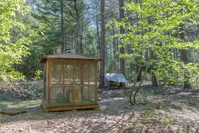 7440 Bear State Road, Georgetown, CA 95634 - Photo 10