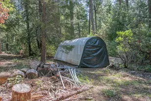 7440 Bear State Rd, Georgetown, CA 95634 - Photo 8