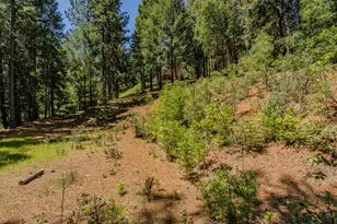 18720 Circle View Dr, Pioneer, CA 95666 - Photo 60