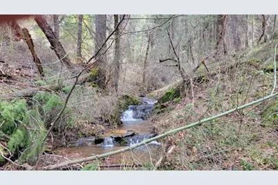 6281 Bear Creek Road, Garden Valley, CA 95633 - Photo 12