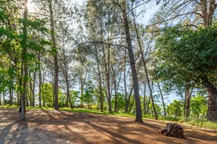 6570 Mosquito Rd, Placerville, CA 95667 - Photo 52