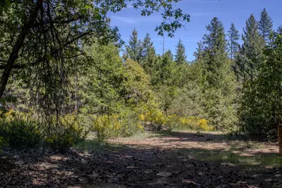 5734 Wilder Road, Georgetown, CA 95634 - Photo 92