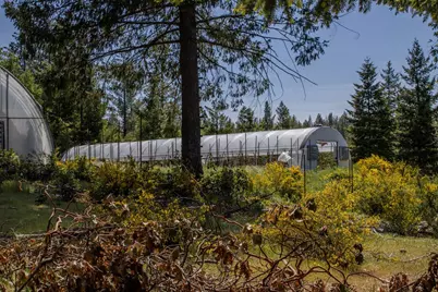 5734 Wilder Road, Georgetown, CA 95634 - Photo 32