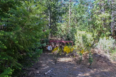 5734 Wilder Road, Georgetown, CA 95634 - Photo 6