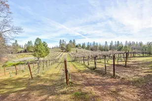 4771 Greenhills Rd, Placerville, CA 95667 - Photo 4