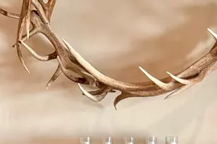 14801 Vaira Ranch Rd, Drytown, CA 95699 - Photo 16