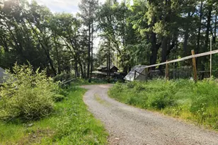 18253 Green Ravine Rd, Nevada City, CA 95959 - Photo 44