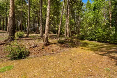 14647 Banner Quaker Hill Road, Nevada City, CA 95959 - Photo 34