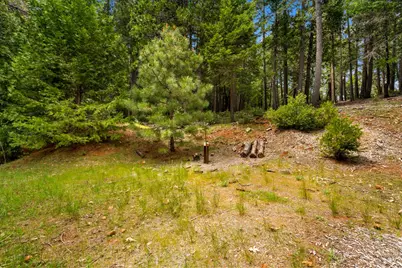 14647 Banner Quaker Hill Road, Nevada City, CA 95959 - Photo 38