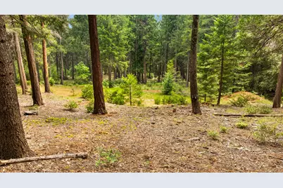 14647 Banner Quaker Hill Road, Nevada City, CA 95959 - Photo 20