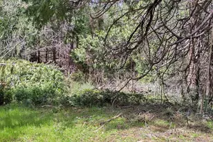 6141 State Hwy 193, Georgetown, CA 95634 - Photo 1