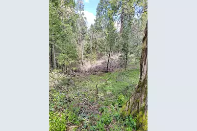 6141 State Highway 193, Georgetown, CA 95634 - Photo 10