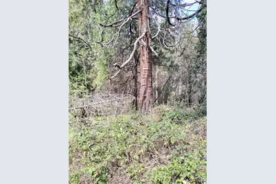 6141 State Highway 193, Georgetown, CA 95634 - Photo 14