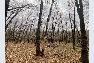 17100 Fritillary Way, Grass Valley, CA 95945 - Photo 6