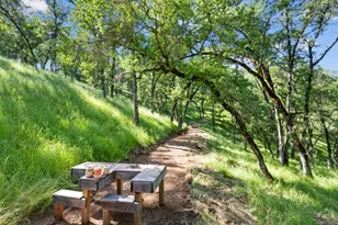 14883 Vaira Ranch Rd, Drytown, CA 95699 - Photo 38