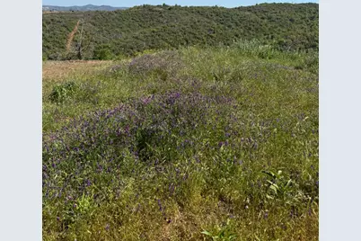 8744 Maranatha Lane, Mountain Ranch, CA 95245 - Photo 28