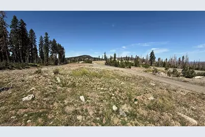 99981 Mormon Emigrant Trail, Pollock Pines, CA 95726 - Photo 12