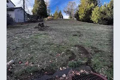 501 Forest Meadows Drive, Murphys, CA 95247 - Photo 6