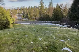 501 Forest Meadows Dr, Murphys, CA 95247 - Photo 1