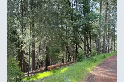 5662 Daisy Circle, Pollock Pines, CA 95726 - Photo 2