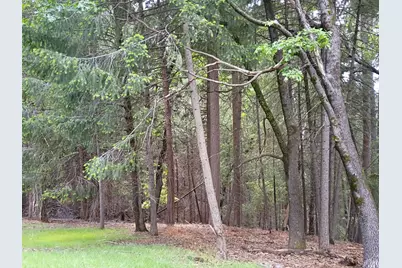 5662 Daisy Circle, Pollock Pines, CA 95726 - Photo 4