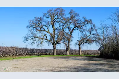 11850 E Live Oak Road, Lodi, CA 95240 - Photo 6