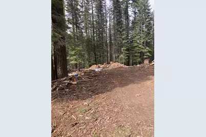 8896 Big Creek Road, Bucks Lake, CA 95971 - Photo 8