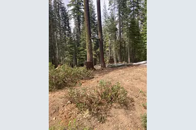 8896 Big Creek Road, Bucks Lake, CA 95971 - Photo 2