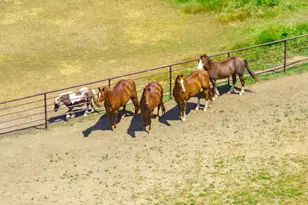 15605 Johnson Rd, Red Bluff, CA 96080 - Photo 60