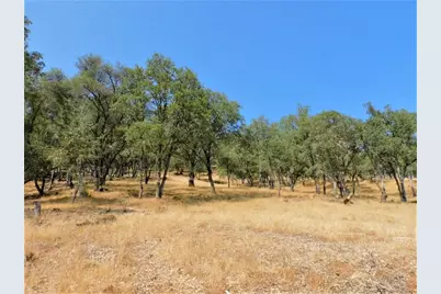 112 Union Mine Road, El Dorado, CA 95623 - Photo 16