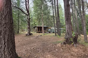 18755 N Canyon, Nevada City, CA 95959 - Photo 16