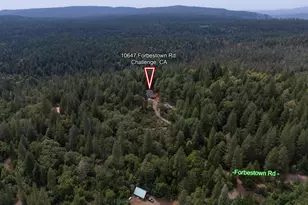 10647 Forbestown Rd, Challenge, CA 95925 - Photo 46