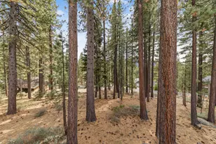 1656 Oglala St, South Lake Tahoe, CA 96150 - Photo 20