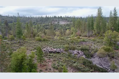 6363 Dogtown Road, Coulterville, CA 95311 - Photo 6