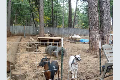 6995 Lakewood Drive, Pollock Pines, CA 95726 - Photo 30