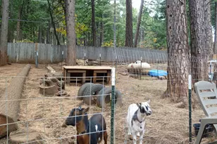 6995 Lakewood Dr, Pollock Pines, CA 95726 - Photo 30