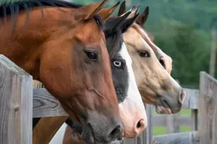 30100 Los Alamos, Murrieta, CA 92563 - Photo 2